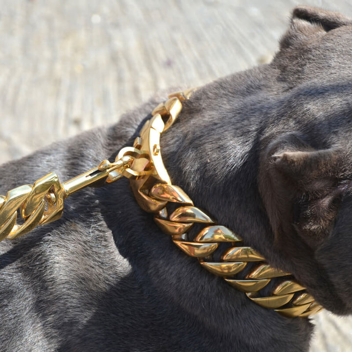 Cuban link collar and leash hotsell